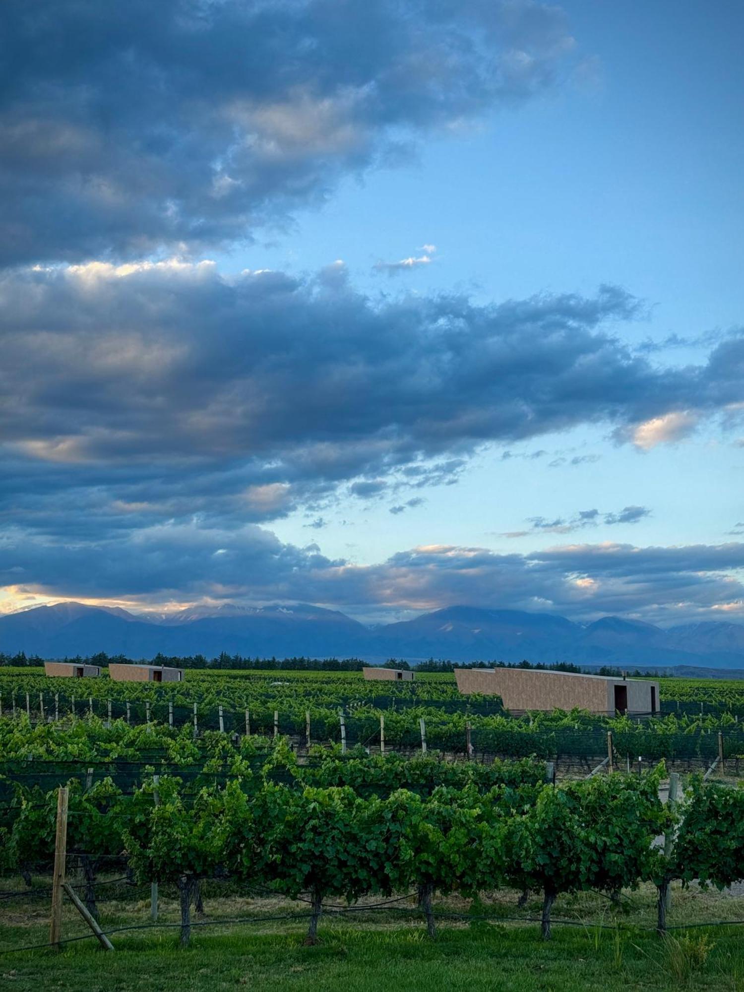 Andeluna Winery Lodge Tupungato Zewnętrze zdjęcie