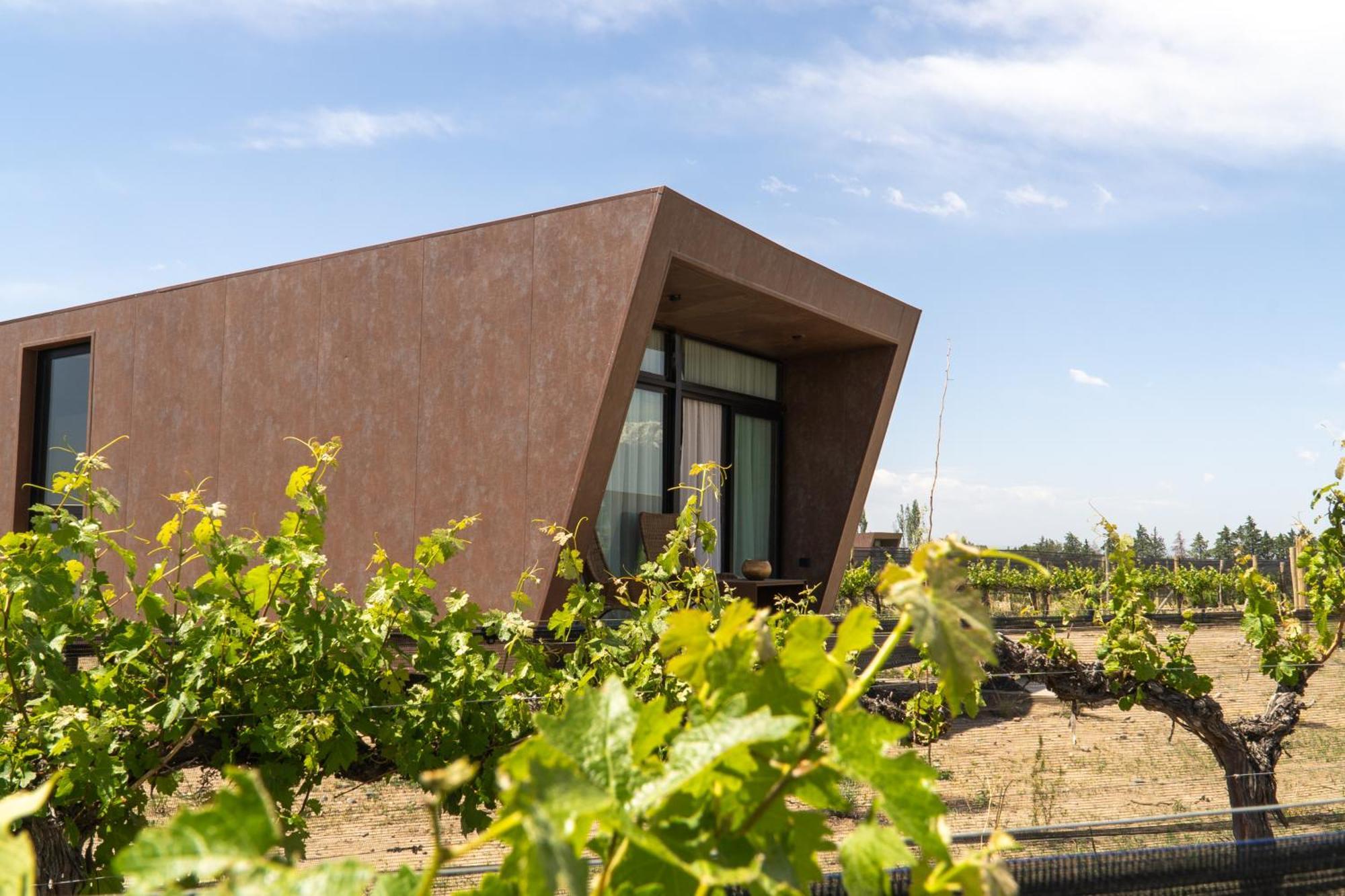 Andeluna Winery Lodge Tupungato Zewnętrze zdjęcie
